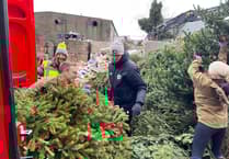 How to recycle your Christmas tree and raise money for an Isle of Man charity in 2026