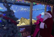 Santa and his elves to the rescue