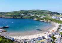 Man had to be sprayed and put in restraints after resisting arrest