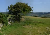 Onshore windfarm planning application delayed as environmental work continues