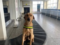 Man in court over £100,000 cannabis haul found in airport luggage