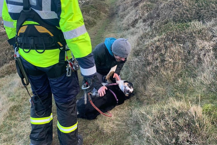Dan with his owner after being rescued