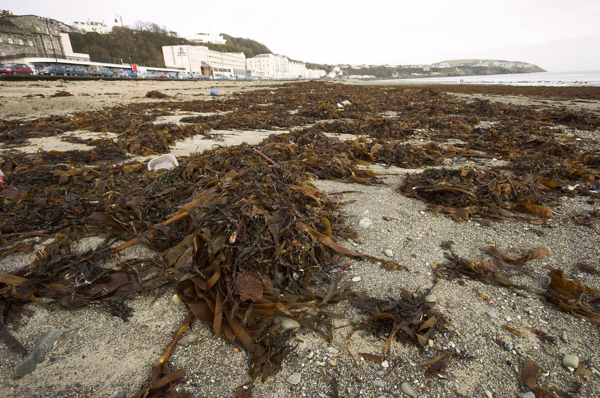 Around the Island · 23 stories · Isle of Man