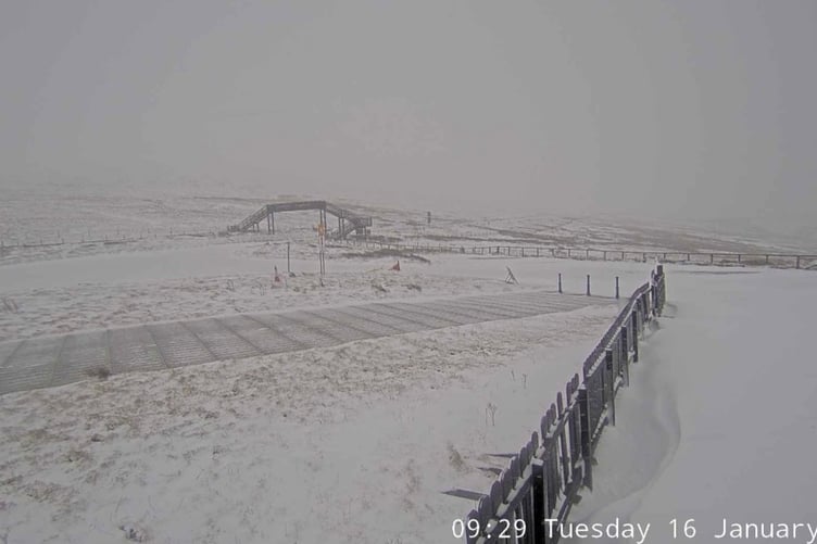 Snow at the Bungalow this morning