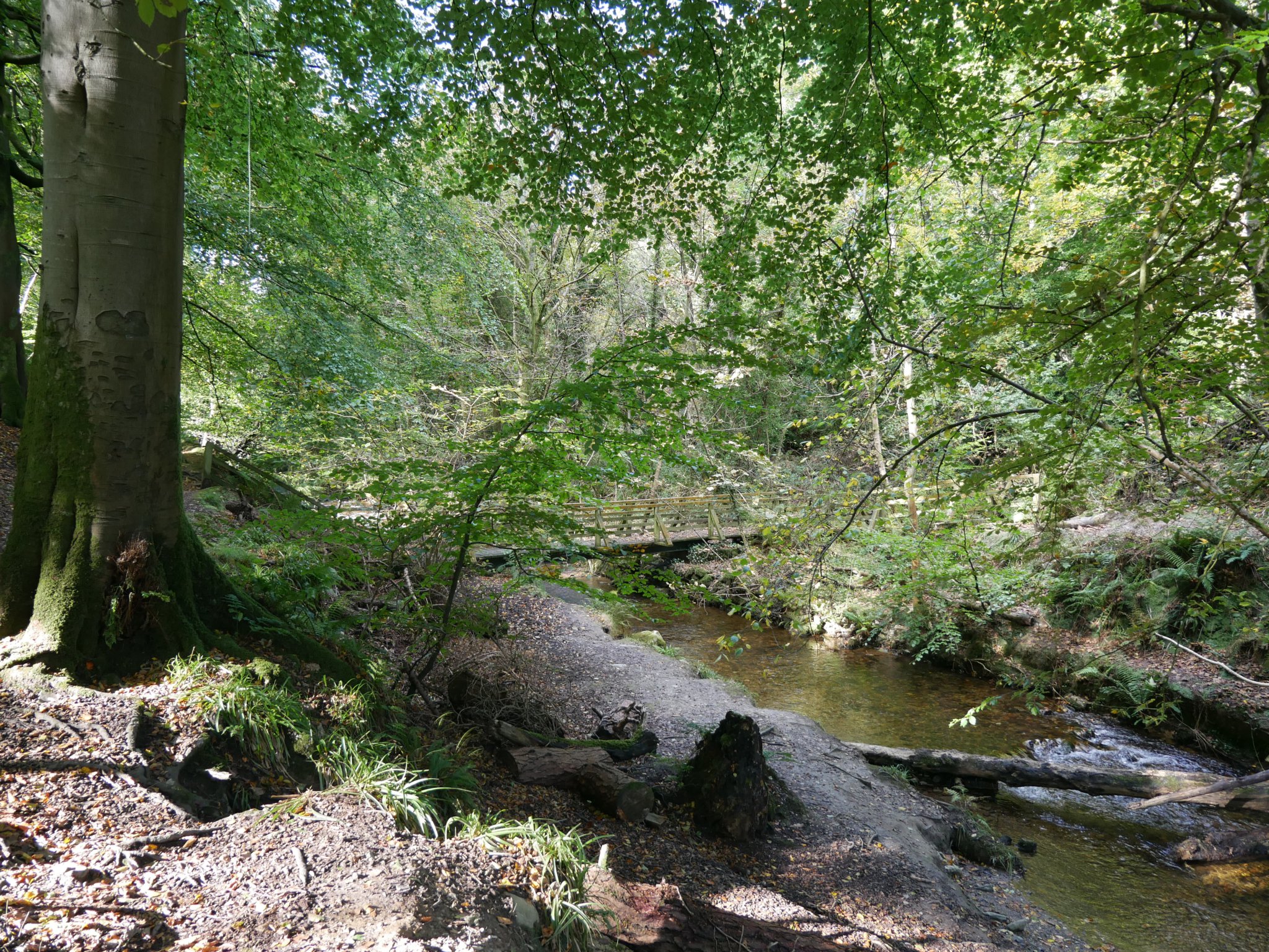 Death coach and ghostly sounds of murder in quiet corner of the island