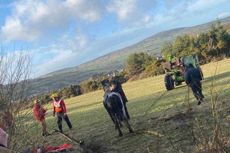 the Horse was successfully pulled from the river and returned to her stables for a well deserved feed.