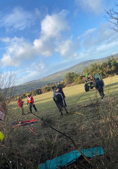 the Horse was successfully pulled from the river and returned to her stables for a well deserved feed.