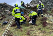 Dog and owner found stuck in 'perilous location' on Isle of Man cliffs