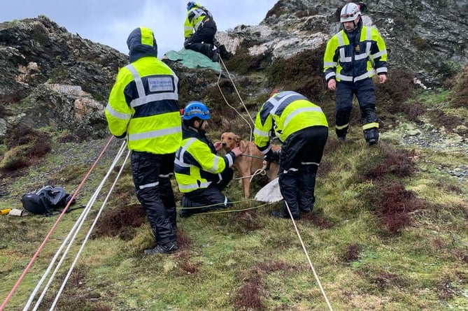 Rum the dog and his owner were rescued in heroic fashion on Bradda Head this afternoon