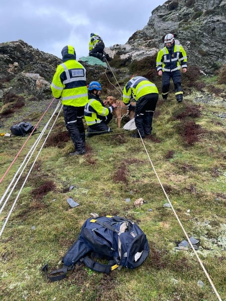 Rum the dog and his owner were rescued in heroic fashion on Bradda Head this afternoon
