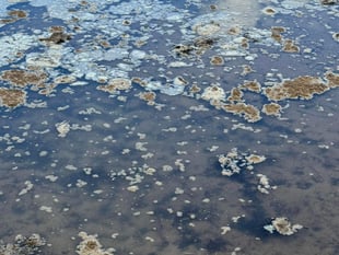 Raw sewage and toilet paper found washed up on Isle of Man beach
