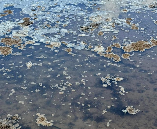 Raw sewage and toilet paper found washed up on Isle of Man beach