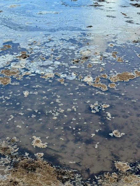 Raw sewage reported on Peel Beach this weekend 