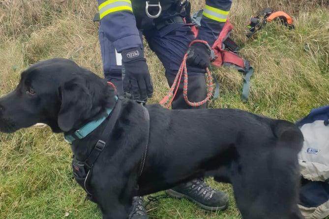 Byron the dog was saved in Glen Maye by Peel Coastguard crews