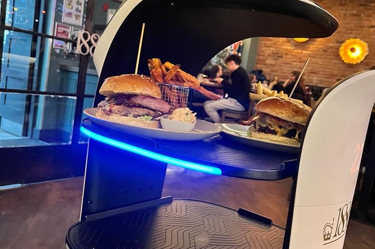 The robot in action