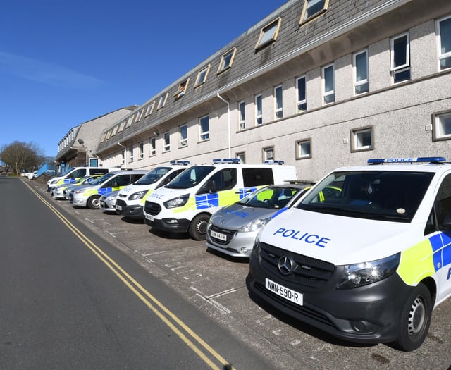 Woman pulled Isle of Man police officer's hair and wouldn't let go