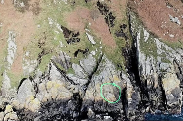 A drone photo showing the cliff where Diesel the dog was rescued - the green circle denotes the dog's location