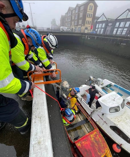 The dog being rescued from Douglas Inner Harbour