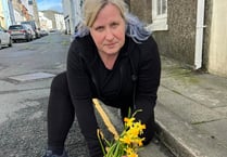 Woman plants flowers in potholes in protest at state of street