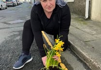 Woman plants flowers in potholes in protest at state of street