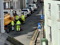 Pot hole patching underway following flower planting protest