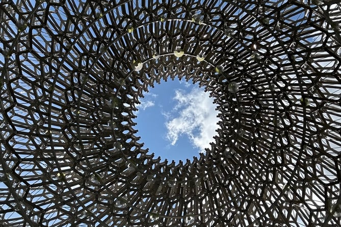 Photography column: Impressive standard in mobile phone competition ...