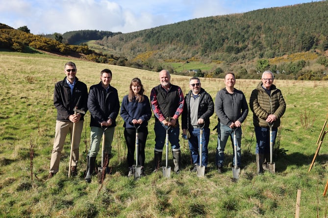 A tree planting session at The Crossags Fields. From left to right: Leigh Morris, CEO, MWT; Greg Easton, MD, Resilience Asset Management; Emma Sayle, Sustainability Officer, Hansard; Bruce McGregor, PDMS Executive; Matthew Beresford, Island Director, Lloyds Bank International; Ben Tovell, Associate Director - ESG, KPMG and Charles Fargher, President of The Rotary Club of Douglas.