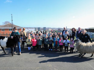 Countryside Code taught through 'Jelly and Oof' children's story
