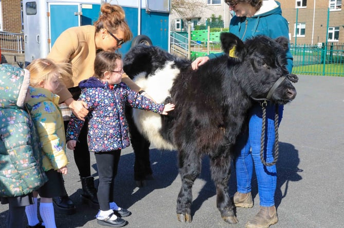 The Manx NFU visiting Anagh Coar Primary School to tell the Jelly and Oof story. Photo by Callum Staley (CJS Photography)