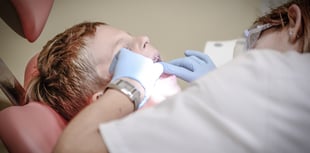 Oral health survey for 12-year-olds planned