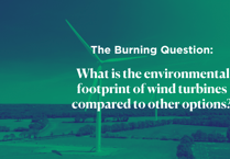 The Burning Question: What is the environmental footprint of wind turbines?