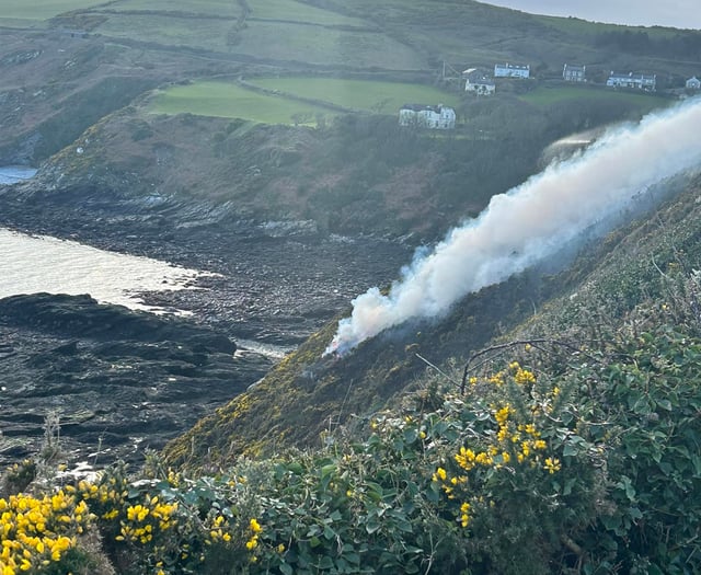 Warning over disposable barbecues following Port St Mary gorse fire