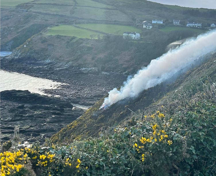 The Port St Mary gorse fire on Sunday, 24 March