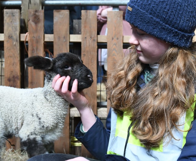 Beautiful pictures capture Lambing Live event as first newborns arrive