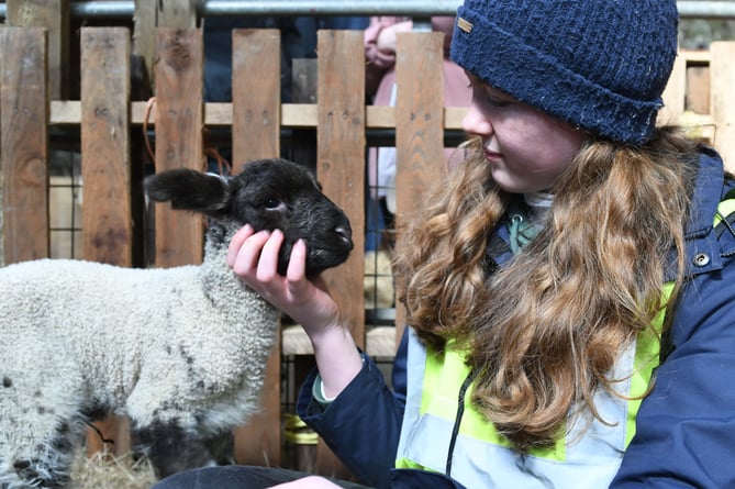 Lambing Live at Knockaloe Beg farm - Elly-Jane Crellin, completing the residential part of her Duke of Edinburgh gold award at the farm