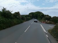 Part of TT course to be shut tomorrow morning while tree is removed