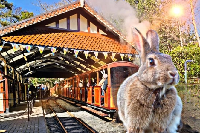 Groudle Glen Railway said the Easter Bunny had helped them continue to deliver their Easter train service on Monday.