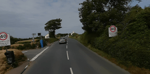 Bus service changes as main route to be closed while tree is removed