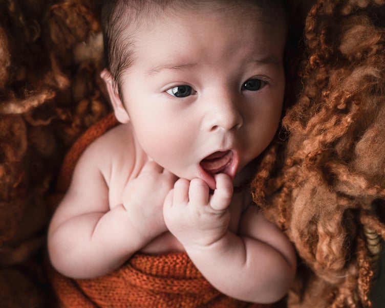 Professional photographer Nessie Gillen shared tips and advice on how to take photos of new-born babies at the Isle of Man Photographic Society's latest meeting
