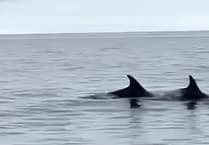 Wonderful video captures 'pod of 40 dolphins' swimming off Isle of Man coast