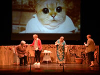 Rushen Players to present three one-act plays next week
