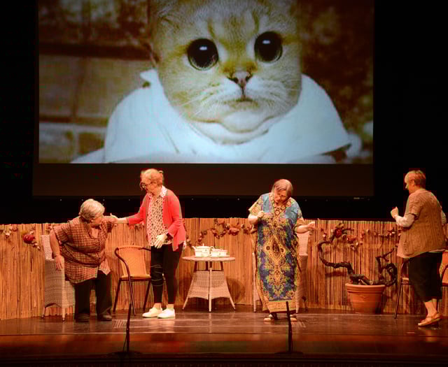 Rushen Players to present three one-act plays next week