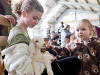 Hundreds flock to farm for a cuddle with baby goats and lambs