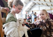 Hundreds flock to farm for a cuddle with baby goats and lambs