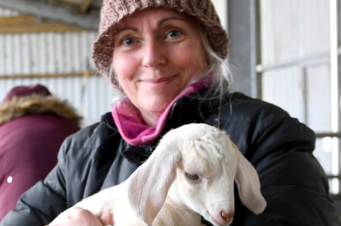'Kidding Chaos' farm tours at High Tilt, the home of Isle of Man Goats. Pictured is Clare Lewis