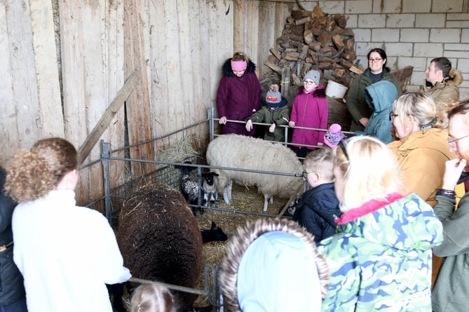 'Kidding Chaos' farm tours at High Tilt, the home of Isle of Man Goats.