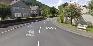 Patrick Road closed as fears roadside tree will fall