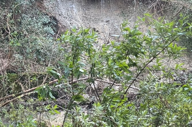 The landslide at Glen Road in Laxey