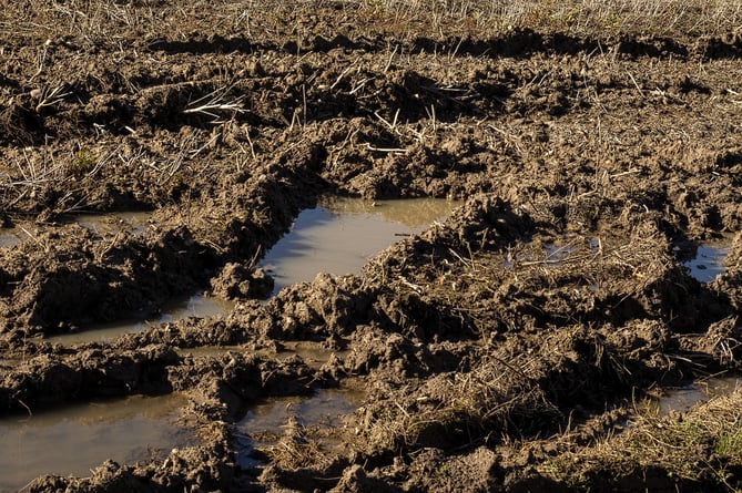 muddy field