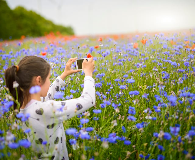 The search is on to find the Isle of Man's Young Nature Champion 2024
